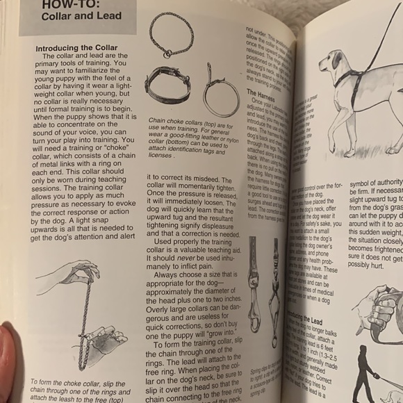 🔥4/$25🔥Labrador retrievers manual - Picture 9 of 9